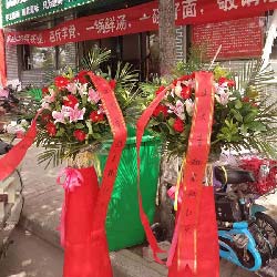  开封花店电话号码大全--第1张