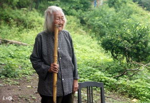  短剧天君下山，霍霍三个绝色老婆全集观看，天君下山，霍霍三个绝色老婆全集在线观看--第1张