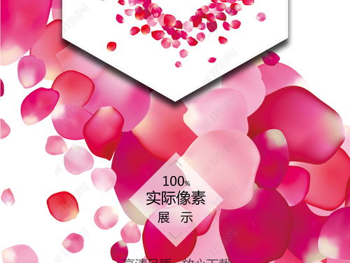  玫瑰花瓣图片，浪漫与美丽的完美结合--第1张
