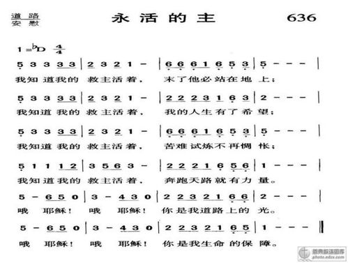  ，紫藤花语与基督教歌原唱，一种神秘而深邃的美丽--第1张