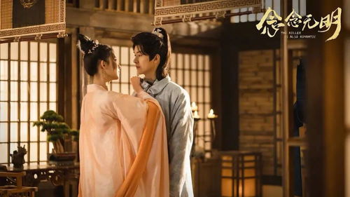  短剧重生后太子妃杀疯了全集观看，太子妃杀疯了全集观看--第1张