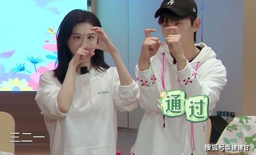  短剧甜婚分霍少蜜蜜吻全集观看--第1张