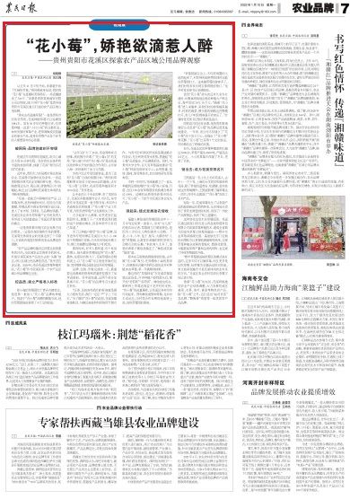  短剧未来报纸全集观看，探索短剧的未来发展--第1张