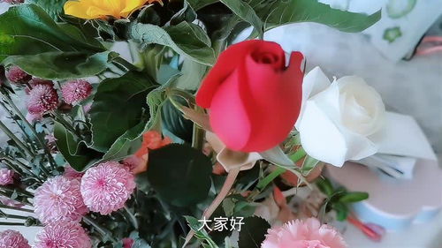  红玫瑰的寓意是什么--第1张