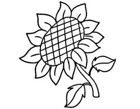  太阳花图片大全大图简笔画，太阳花简笔画图片大全，太阳花图片大全大图简笔画--第1张