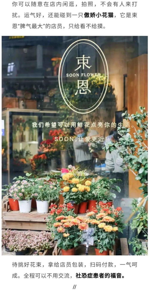  附近花店位置指南--第1张