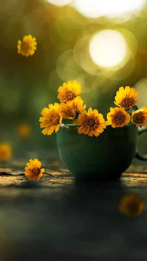  勿忘我花的风景图片，自然之美与情感的交织，勿忘我花的美丽风景，自然之美与情感的交织--第1张