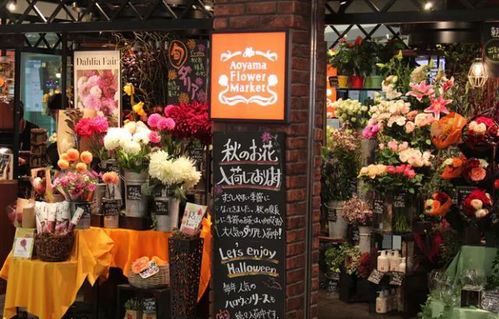  花店取名字大全免费，花语诗集花店，感受花的诗意与浪漫--第1张