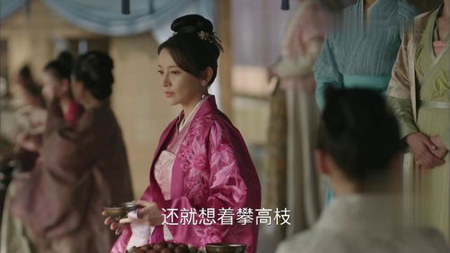  短剧风流小家丁全集观看--第1张