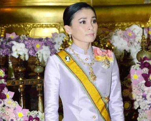  短剧苏少夫人要离婚全集观看--第1张