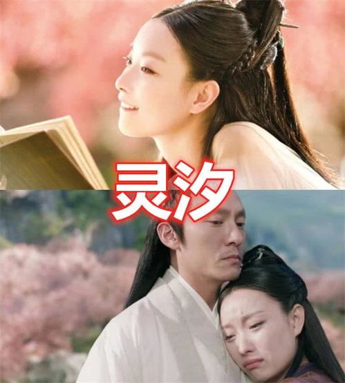  短剧失忆前夫爱上我全集观看，揭秘失忆前夫的内心世界--第1张