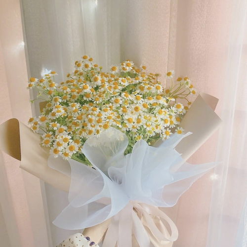   鲜花网站，传递爱与美好的使者——[鲜花网名]，鲜花网站，传递爱与美好的鲜花使者--第1张
