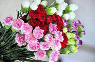  教师节送什么花好，教师节送康乃馨、百合花、剑兰、太阳花等花比较好。--第1张
