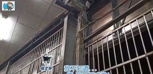 短剧萌宝助攻周少宠妻送上门，萌宝神助攻妈咪超级飒全集观看--第1张