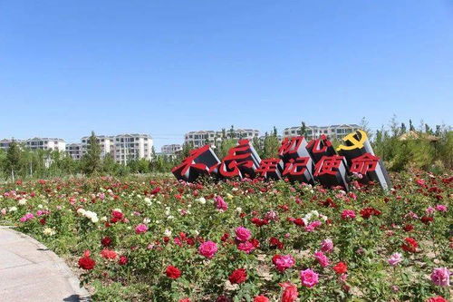  莒南县花店，传递情感，传递美丽--第1张