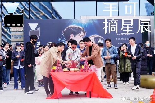  短剧手可摘南星全集观看，短剧手可摘南星全集在线观看，一部充满惊喜的短剧--第1张