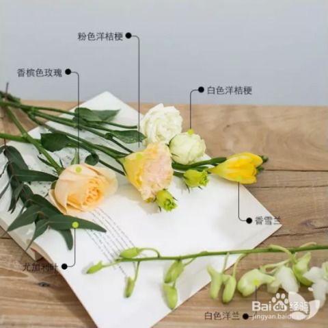  母亲节送什么颜色的花，母亲节送粉色玫瑰花最合适。--第1张