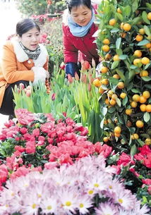  长沙批发鲜花最便宜的地方--第1张