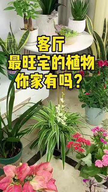  花卉知识网站，花卉知识宝典--第1张