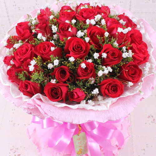  19朵红玫瑰花束图片，浪漫与情感的完美结合，浪漫之花，19朵红玫瑰花束图片--第1张
