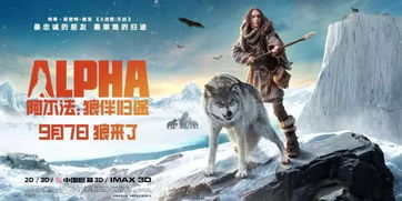  万里归途短剧全集观看，紧张刺激的冒险之旅--第1张