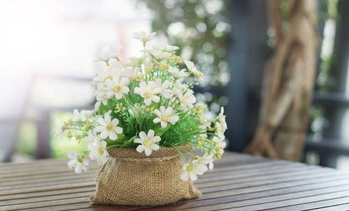  花花网拍靠谱吗，花花网拍，一个可靠的购物平台吗？--第1张