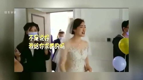  阮小姐的前夫又来求婚了全集观看，阮小姐的前夫又来求婚了，全集免费观看--第1张