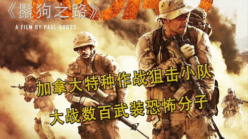  短剧特战龙帅全集，震撼心灵的英勇之战--第1张