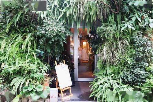  花店在哪里--第1张