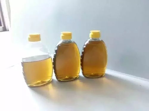  乌桕蜜的功效与作用--第1张