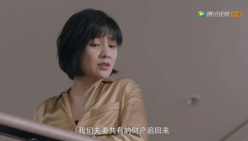  裴总夫人，她不需要两个老公--第1张