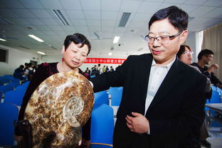 赘婿鉴宝陈龙大结局视频_赘婿鉴宝陈龙大结局视频全集--第1张