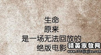  短剧涅槃人生全集，观看，感受人生的重生--第1张