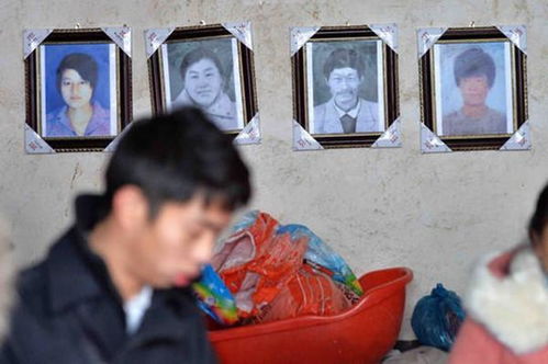  短剧妻子的反击全集观看，妻子忍无可忍，展开一场家庭战争，家庭战争，妻子的反击全集--第1张