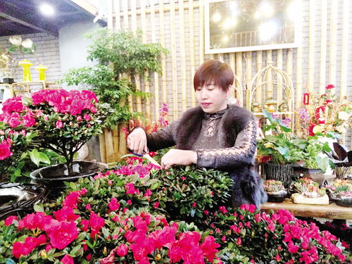  苏州鲜花速递网，传递每一份美好--第1张