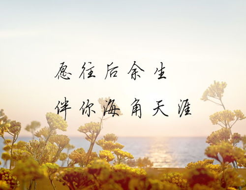  短剧此生有你心安全集观看，此生有你，心安集锦，短剧全集观看--第1张
