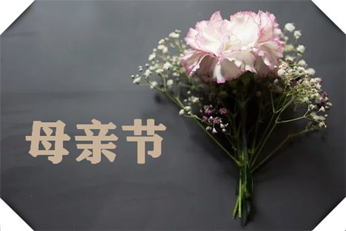  母亲节送什么花最适合，母亲节送康乃馨花最适合。--第1张