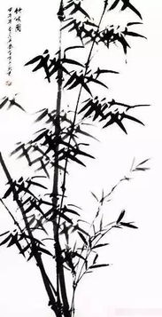  菊花的象征意义和精神品质--第1张
