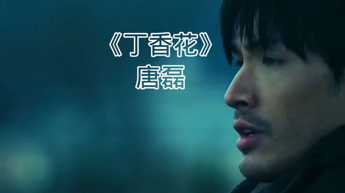  ，丁香花原唱，一首歌背后的故事与情感，丁香花背后的故事与情感--第1张