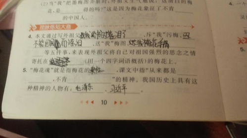  梅花品质四字词语，梅花品质，坚韧不拔、傲骨铮铮--第1张
