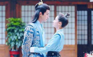  短剧少城主的心尖宠全集观看——一部扣人心弦的古装爱情剧，少城主的心尖宠全集观看，扣人心弦的古装爱情剧--第1张