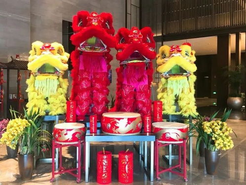  最美鲜花图片大赏--第1张