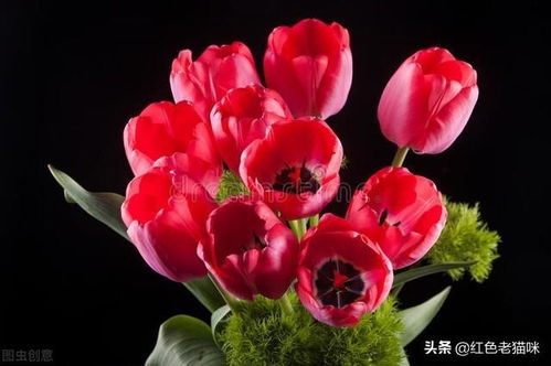  花之诗语，绽放生命之美，花之诗语，绽放生命之美的艺术表达--第1张