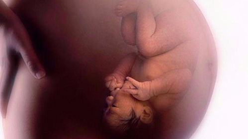  妈妈的心肝在天涯，妈妈的宝贝在天涯——全集观看，天涯母爱，妈妈的宝贝和心肝--第1张