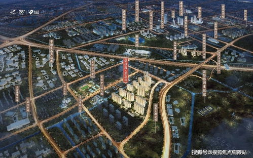  29支玫瑰，爱的深度与承诺的象征--第1张