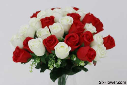  16朵玫瑰的花语是什么，16朵玫瑰的花语，浪漫爱情与守护--第1张