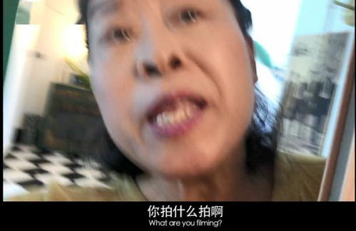  短剧沈千金她在线打脸全集观看--第1张