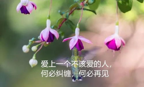  送花的句子，最走心的话，送花给心爱的人，表达最深情的爱意--第1张