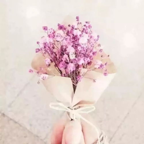  ，一束花的图片，浪漫与情感的交织--第1张