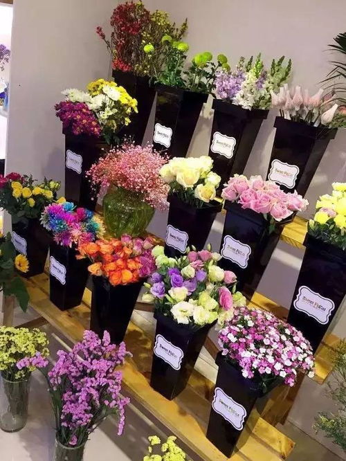  海口鲜花店订花，一站式购花体验，让你的生活更美好--第1张